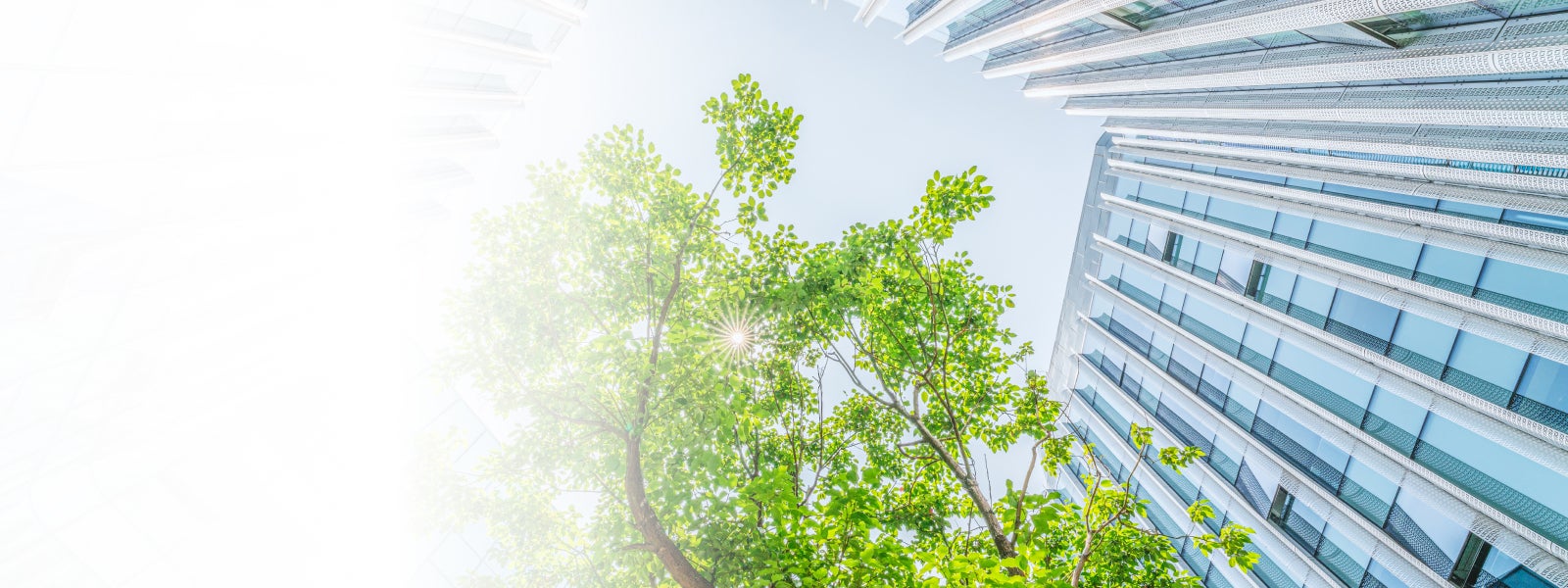 Eine moderne, große Gewerbeimmobilie mit Glasfront ist aus einem Winkel vom Boden aufgenommen. Ebenfalls ist eine grüne Baumkrone zu sehen, durch die einzelne Sonnenstrahlen zu sehen sind. Der Stimmung im Bild ist hell und sommerlich.