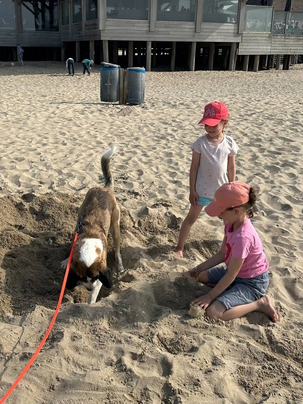 Zwei kleine Mädchen spielen mit einem Hund im Sand an einem Strand. Der Hund gräbt ein Loch, während die Mädchen lachen und zusehen. Im Hintergrund ist ein Holzgebäude auf Stelzen sowie einige Mülltonnen und andere Personen sichtbar.