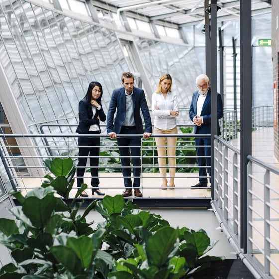 The picture shows four people in formal dress standing in a modern, light-flooded building. They are standing on a raised walkway with railings, surrounded by large glass windows. The windows extend along the entire length of the corridor and let in plenty of daylight.on the left of the picture is a woman with long, dark hair wearing a black trouser suit. She has her arms crossed in front of her chest and is looking down as if she is pensive. Next to her is a man in a dark blue suit, who is leaning on the railing with both hands and also looking down. Next to him is a woman with blonde hair in a white blazer and beige trousers. To her right is an older man with white hair and a beard, wearing a dark blue suit and interlocking fingers. The four people are discussing ista's building management system. Below the catwalk are large green plants that lend the room a natural element. On the right of the picture you can see a wall with dark red bricks and several doors. The whole space has a modern and open feel, with lots of natural light and a mix of industrial and natural elements.