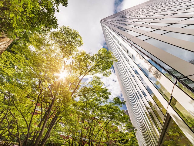 The picture shows an impressive view from below of the top of a modern tower block. On the right-hand side of the picture, the building rises steeply into the sky, its façade consisting of vertical, shiny silvery stripes and windows that reflect the surrounding environment. Lush green trees can be seen on the left and in the lower part of the picture, their dense leaves dominating the image. The sun's rays break through the leaves, creating a warm, golden light that is reflected in the tower block. The sky is partly cloudy, with blue and white colour tones that add depth to the image.