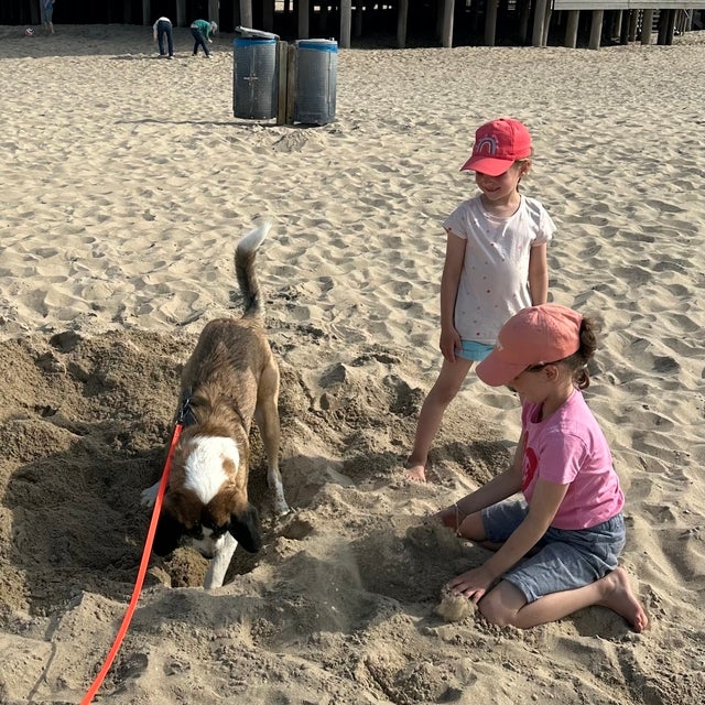 Zwei kleine Mädchen spielen mit einem Hund im Sand an einem Strand. Der Hund gräbt ein Loch, während die Mädchen lachen und zusehen. Im Hintergrund ist ein Holzgebäude auf Stelzen sowie einige Mülltonnen und andere Personen sichtbar.