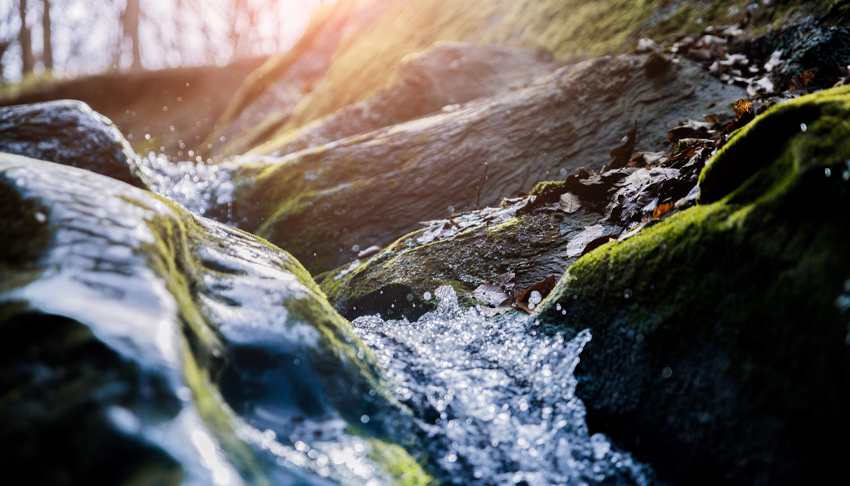 En économisant l'eau, on économise l'énergie