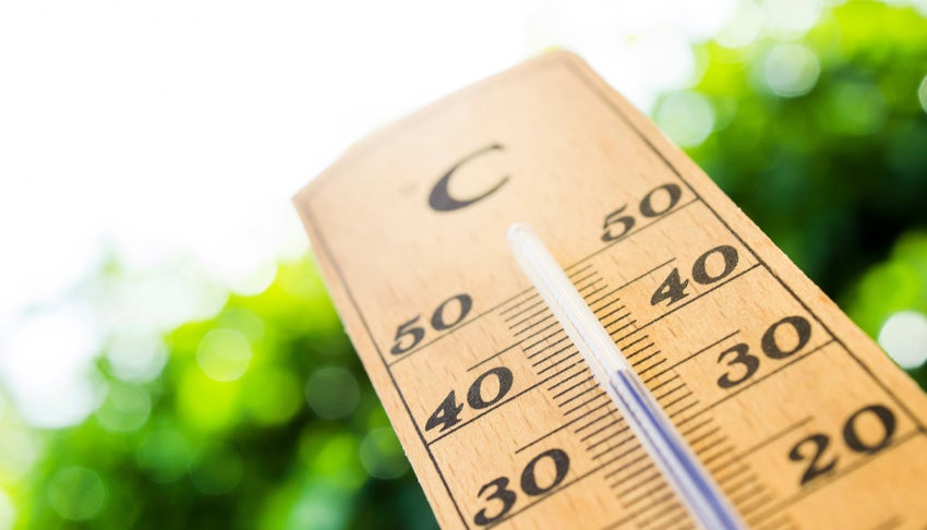 Découvrez les astuces pour maîtriser votre consommation d'énergie pendant l'été Contenthub Cover