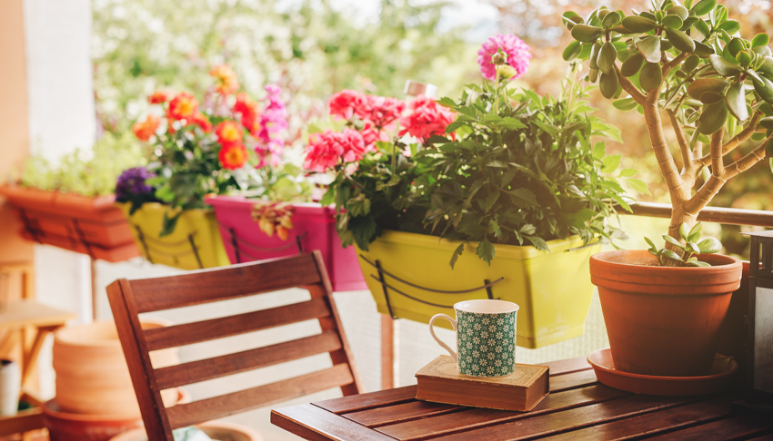 Comment prendre soin de son jardin en été ? Contenthub Cover