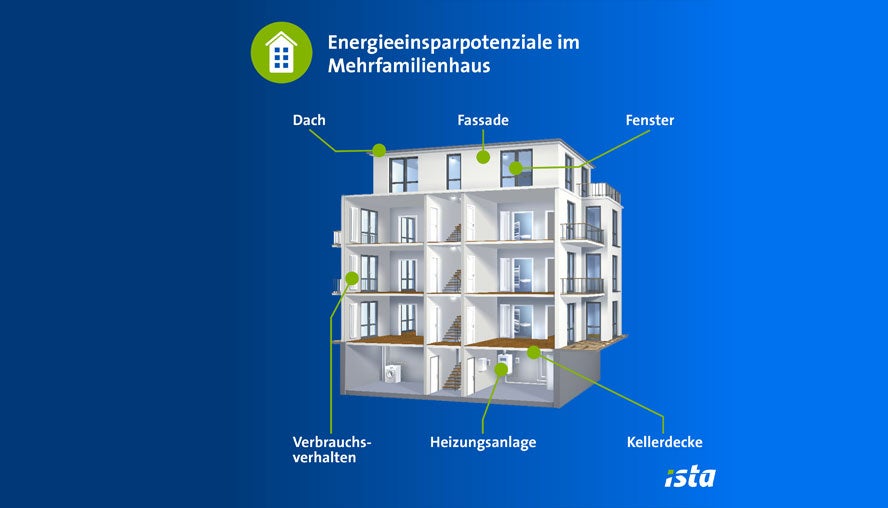 Kellerdeckendämmung: Förderung nutzen und Energie sparen