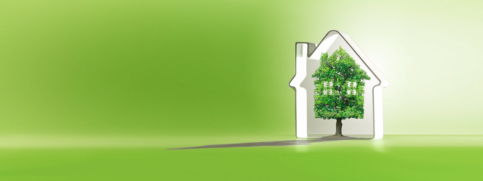 EED Visual: Es handelt sich um die grafische Darstellung eines Hauses in weiß auf einem grünlichen Hintergrund. In der Mitte des Hauses steht ein sattgrüner Baum, der ebenfalls die Form eines Hauses hat.